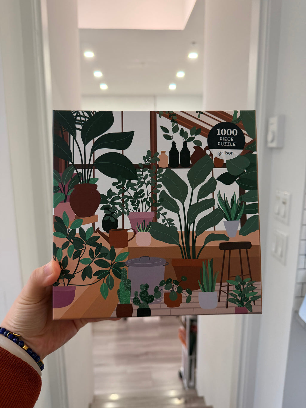 Galison | 1000 Pieces | House of Plants Puzzle
