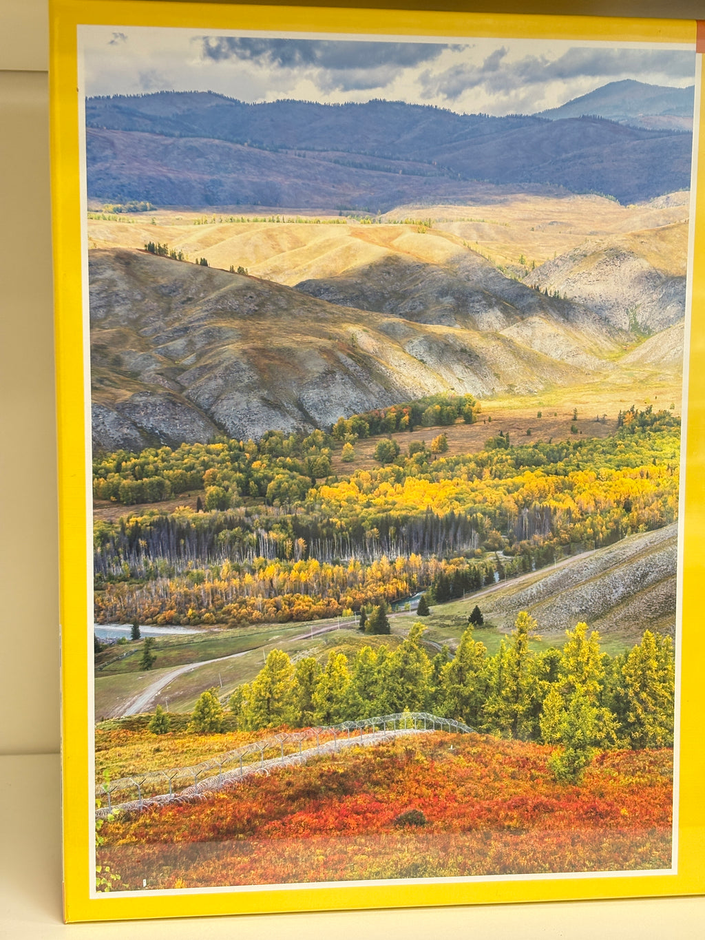 TOI | 1000 Pieces | Altai Autumn Tale 阿勒泰秋叙