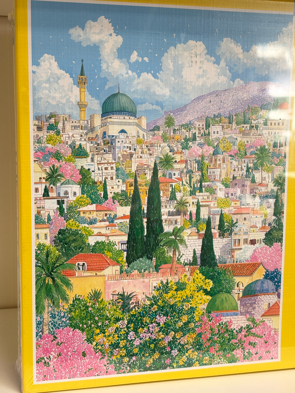 TOI | 1000 Pieces | Blossoms Over the Old Town花满旧城