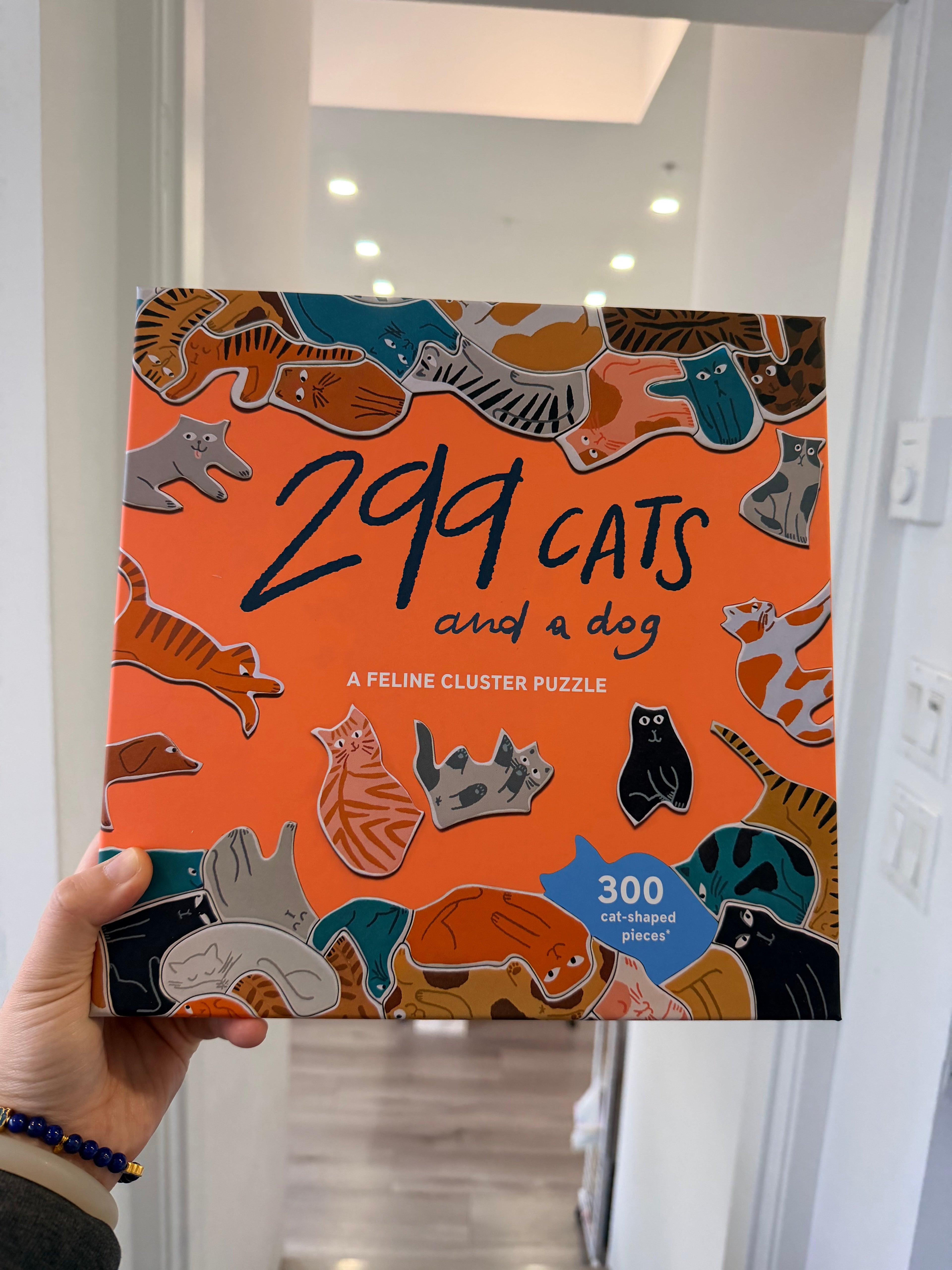 Laurence King | 299 Cats (and a Dog) 300 Piece Cluster Puzzle