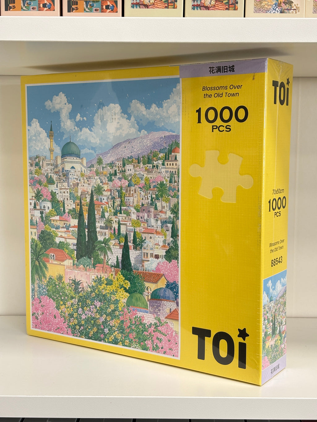 TOI | 1000 Pieces | Blossoms Over the Old Town花满旧城