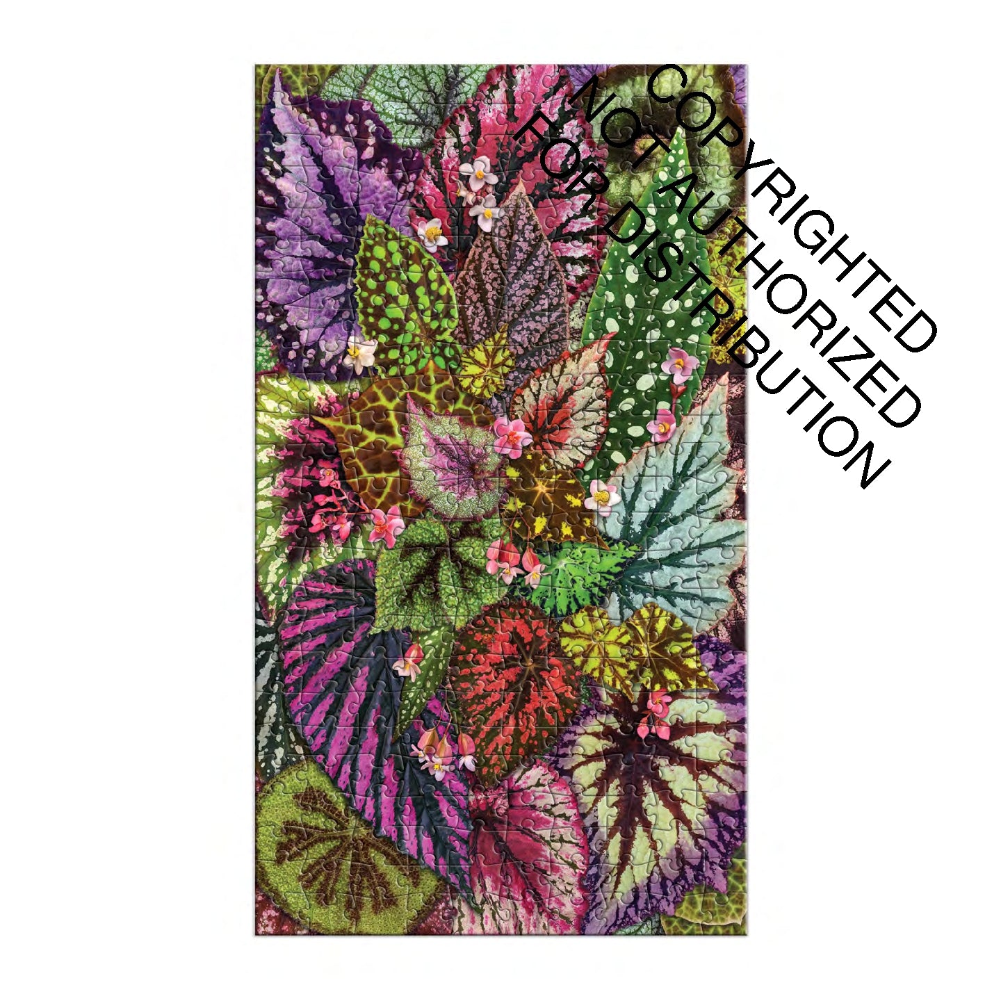 Galison | 3x 250 Pieces | HousePlant Jungle (multi set)