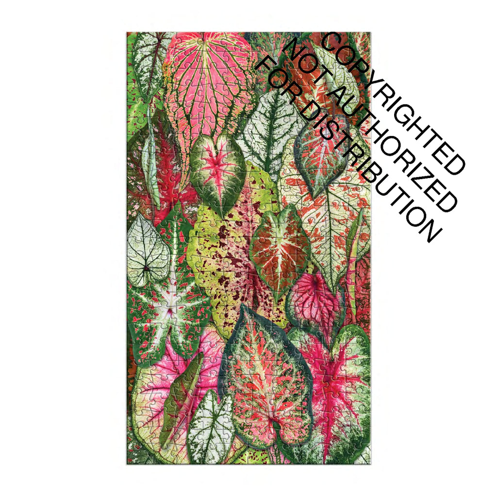 Galison | 3x 250 Pieces | HousePlant Jungle (multi set)