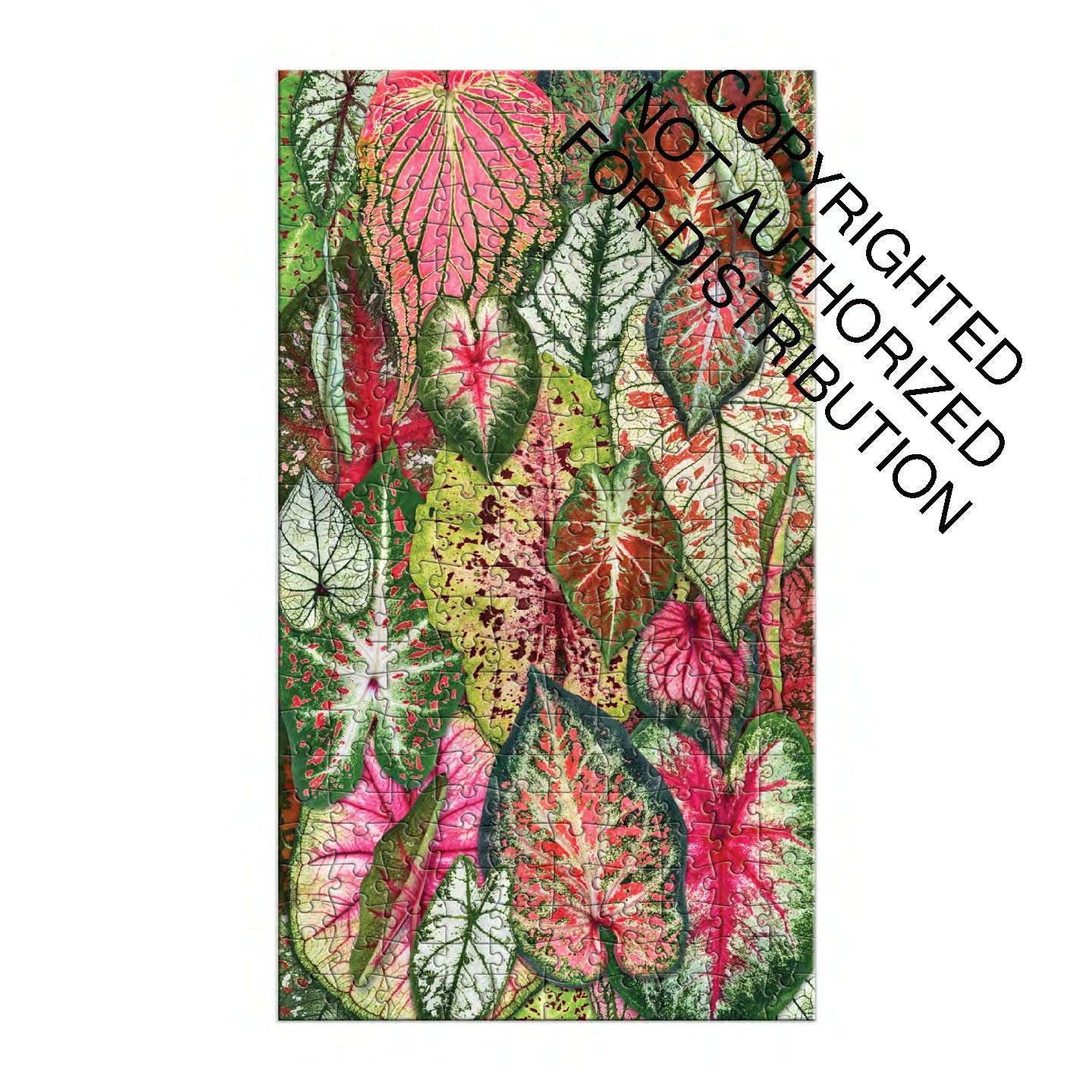 Galison | 3x 250 Pieces | HousePlant Jungle (multi set)