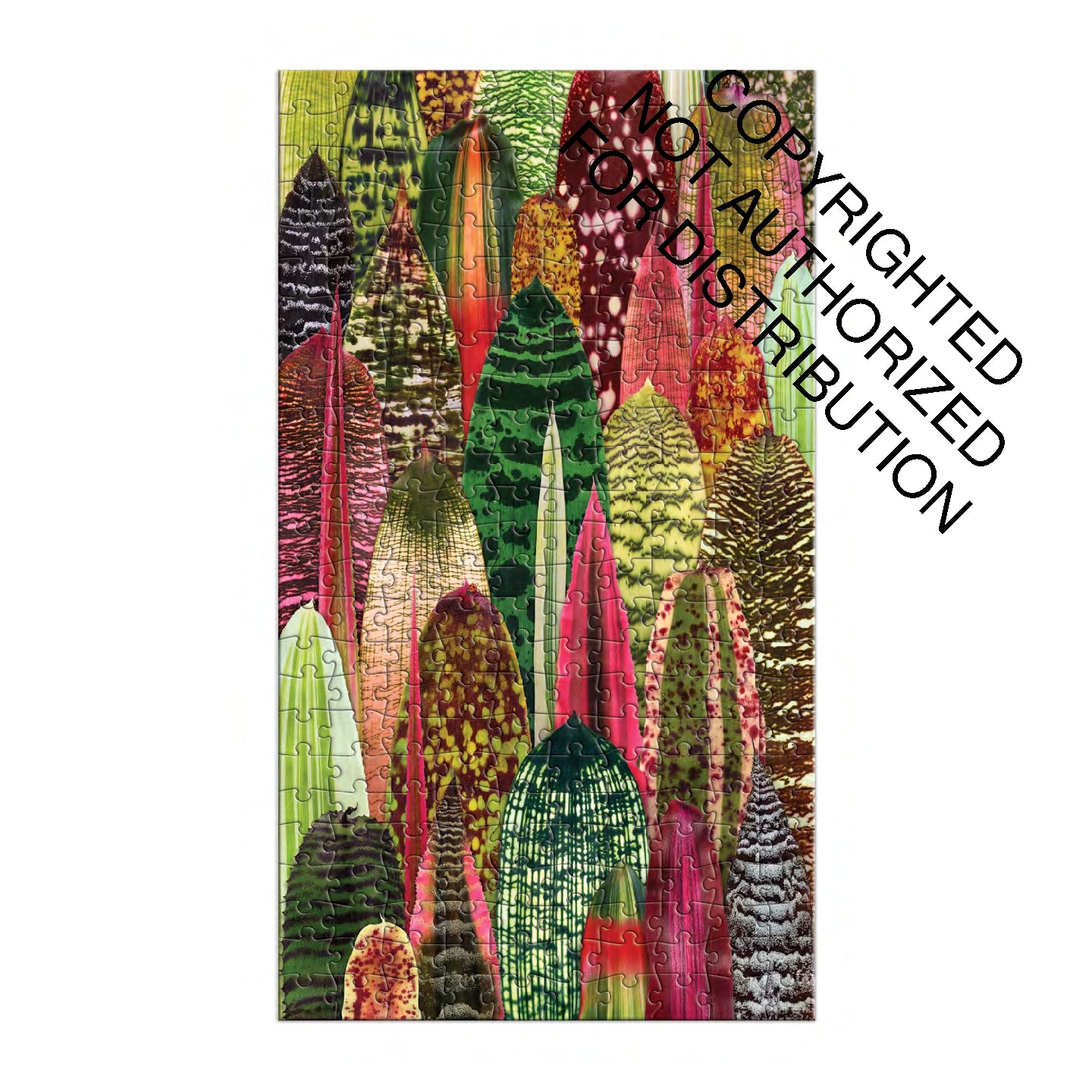 Galison | 3x 250 Pieces | HousePlant Jungle (multi set)