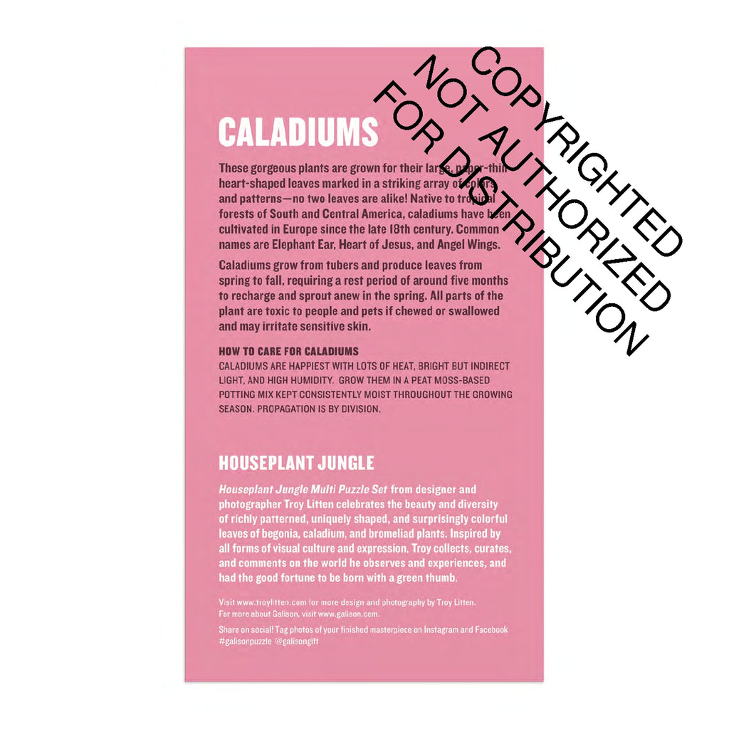 Galison | 3x 250 Pieces | HousePlant Jungle (multi set)