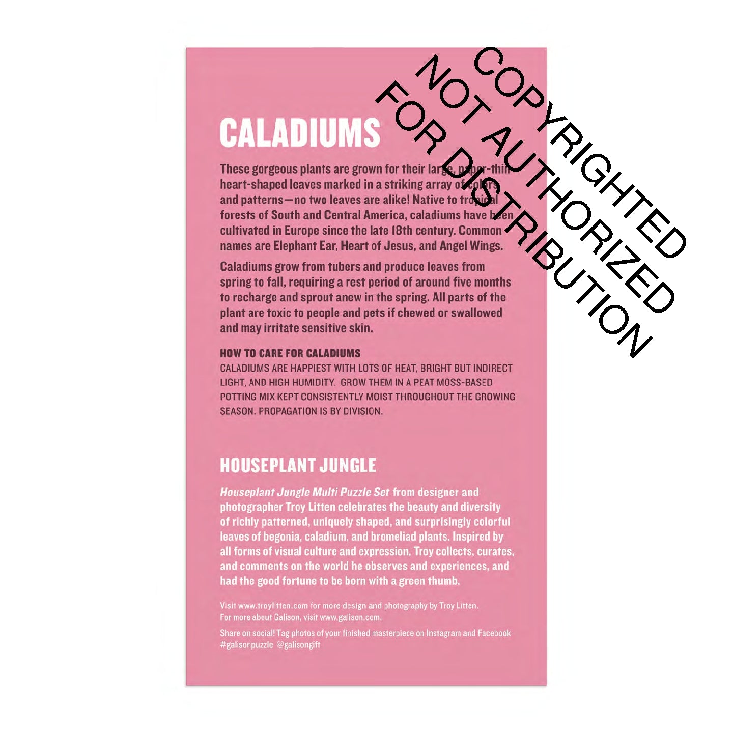 Galison | 3x 250 Pieces | HousePlant Jungle (multi set)
