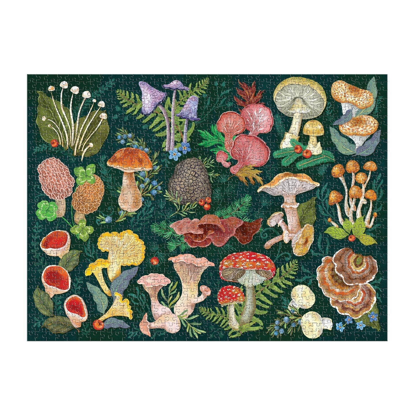 Galison | 1000 Pieces | World of Mushrooms Puzzle