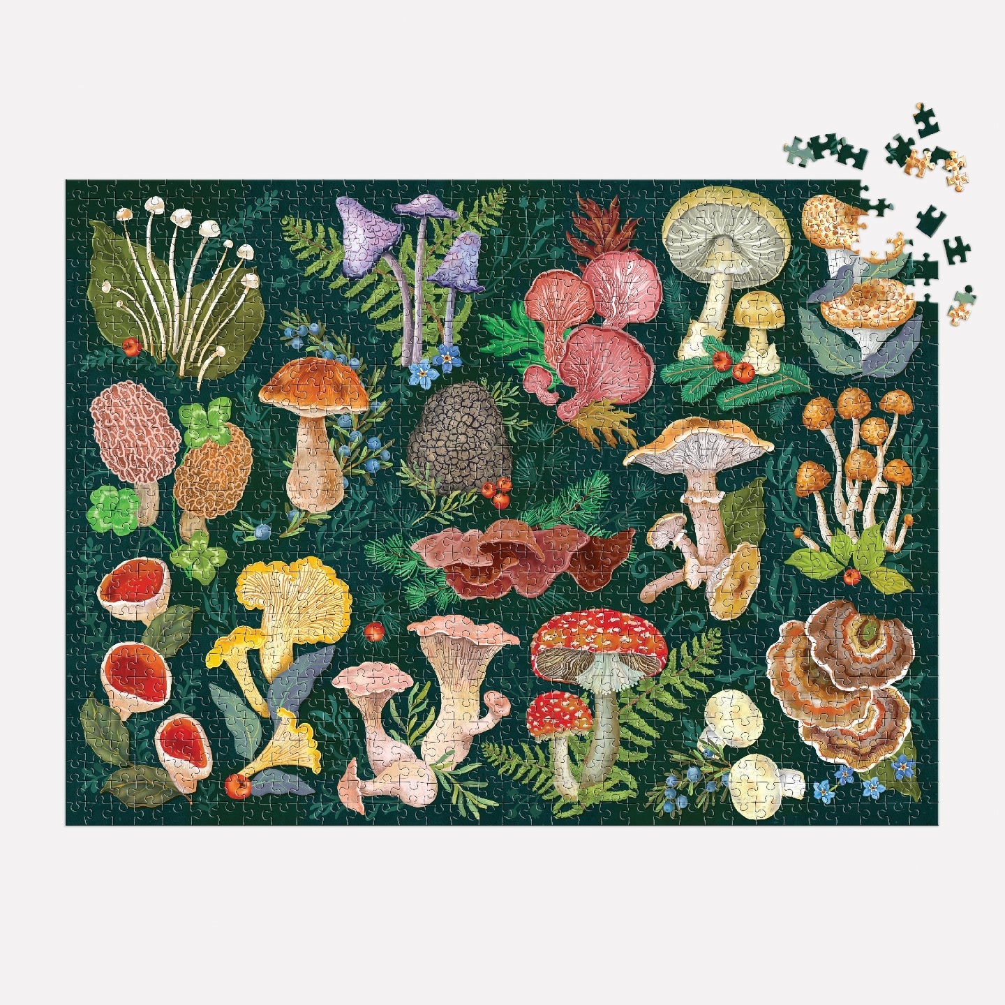 Galison | 1000 Pieces | World of Mushrooms Puzzle