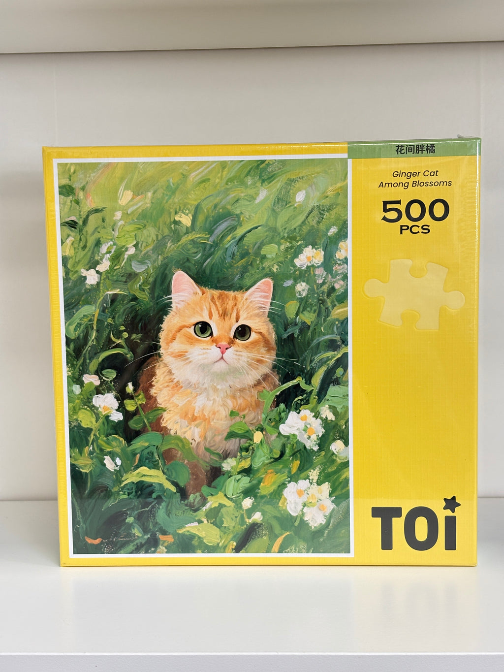 TOI | 500 Pieces | Ginger Cat Among Blossoms 花间胖橘