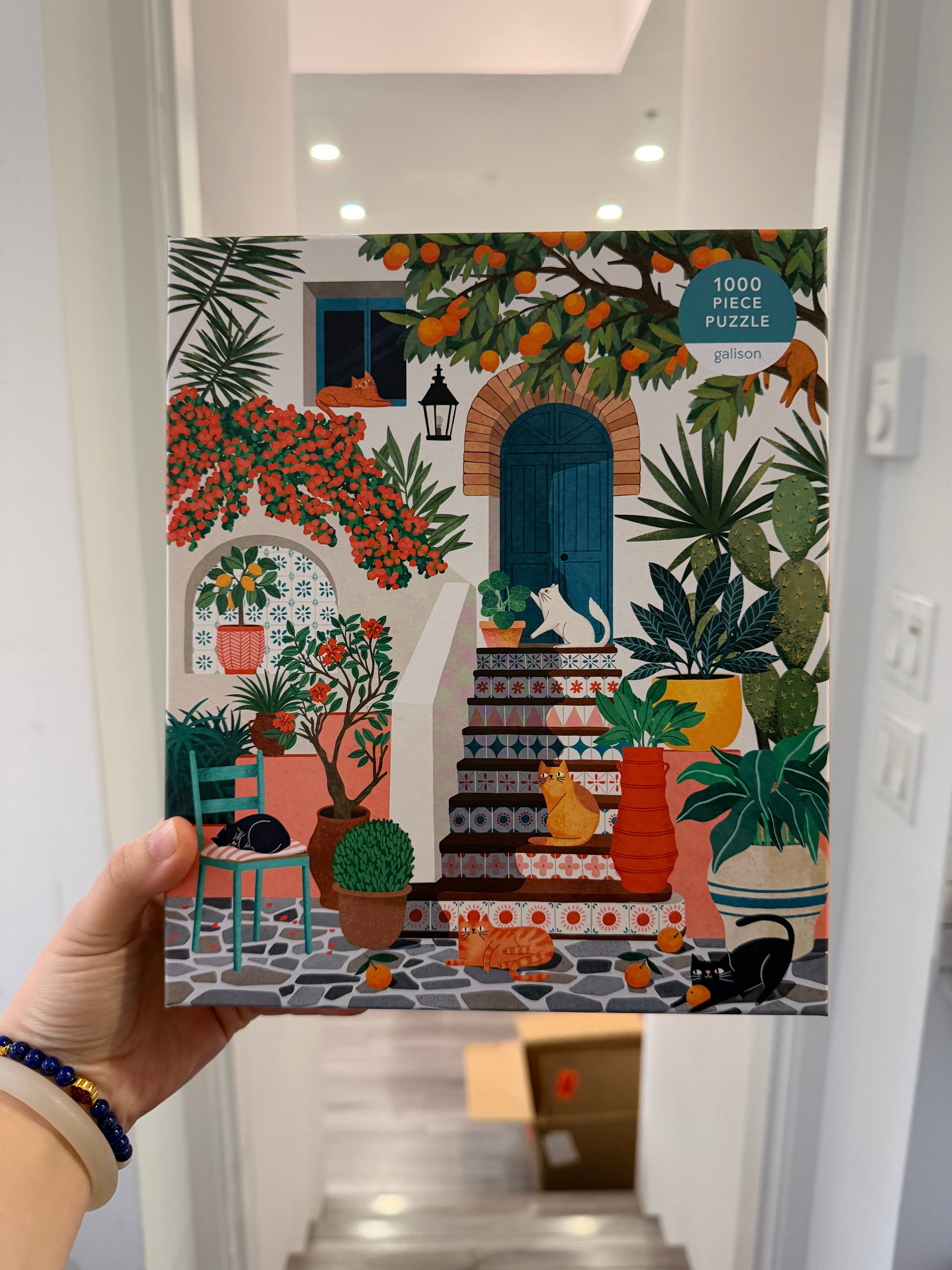 Galison | 1000 Pieces | Mediterranean Cats Puzzle