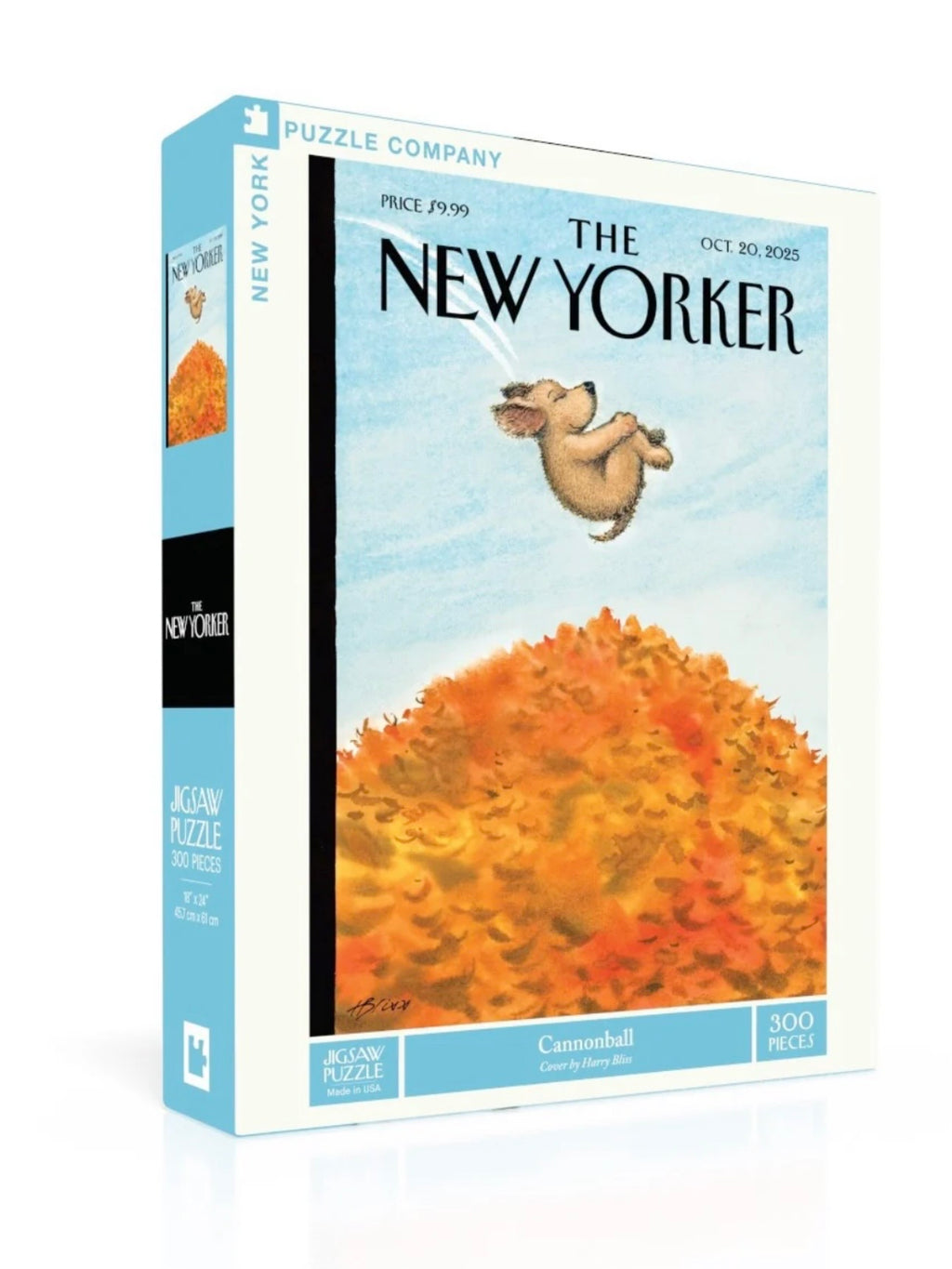 New York Puzzle | 300 Pieces | Cannonball