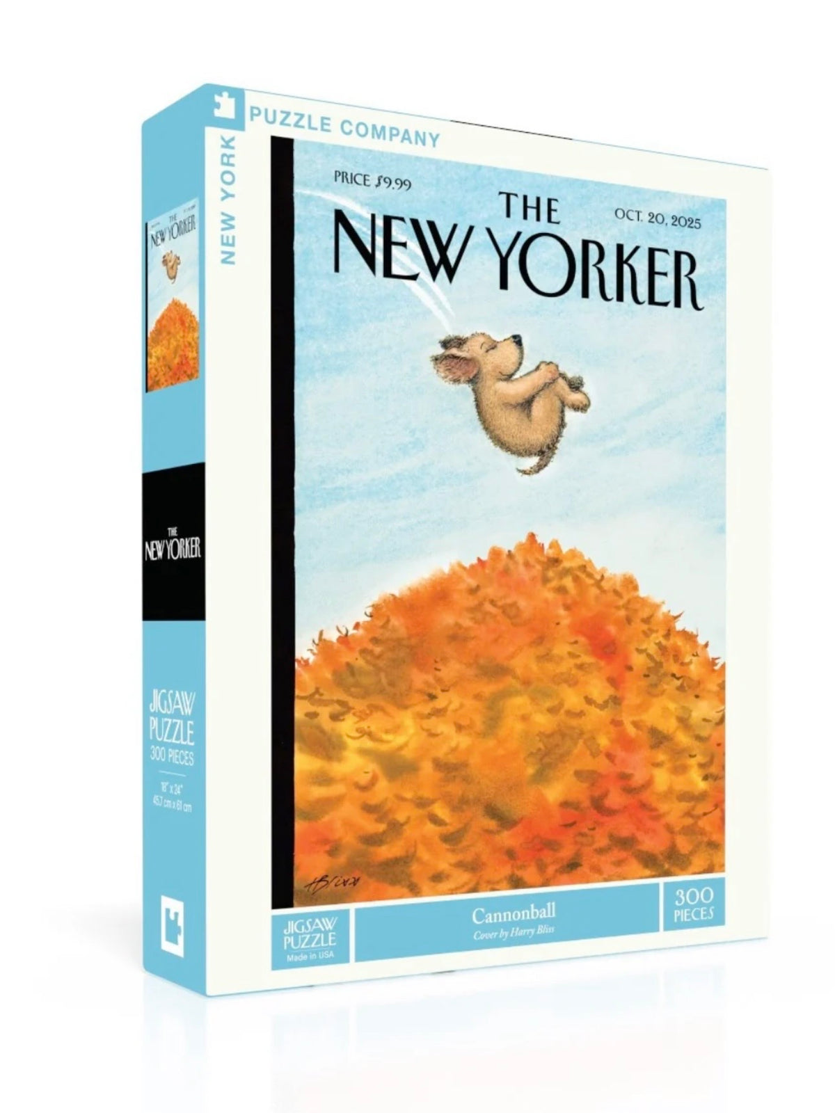 New York Puzzle | 300 Pieces | Cannonball