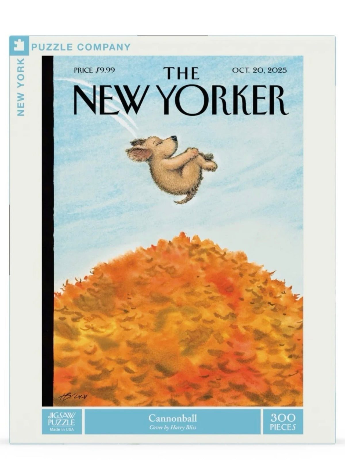 New York Puzzle | 300 Pieces | Cannonball