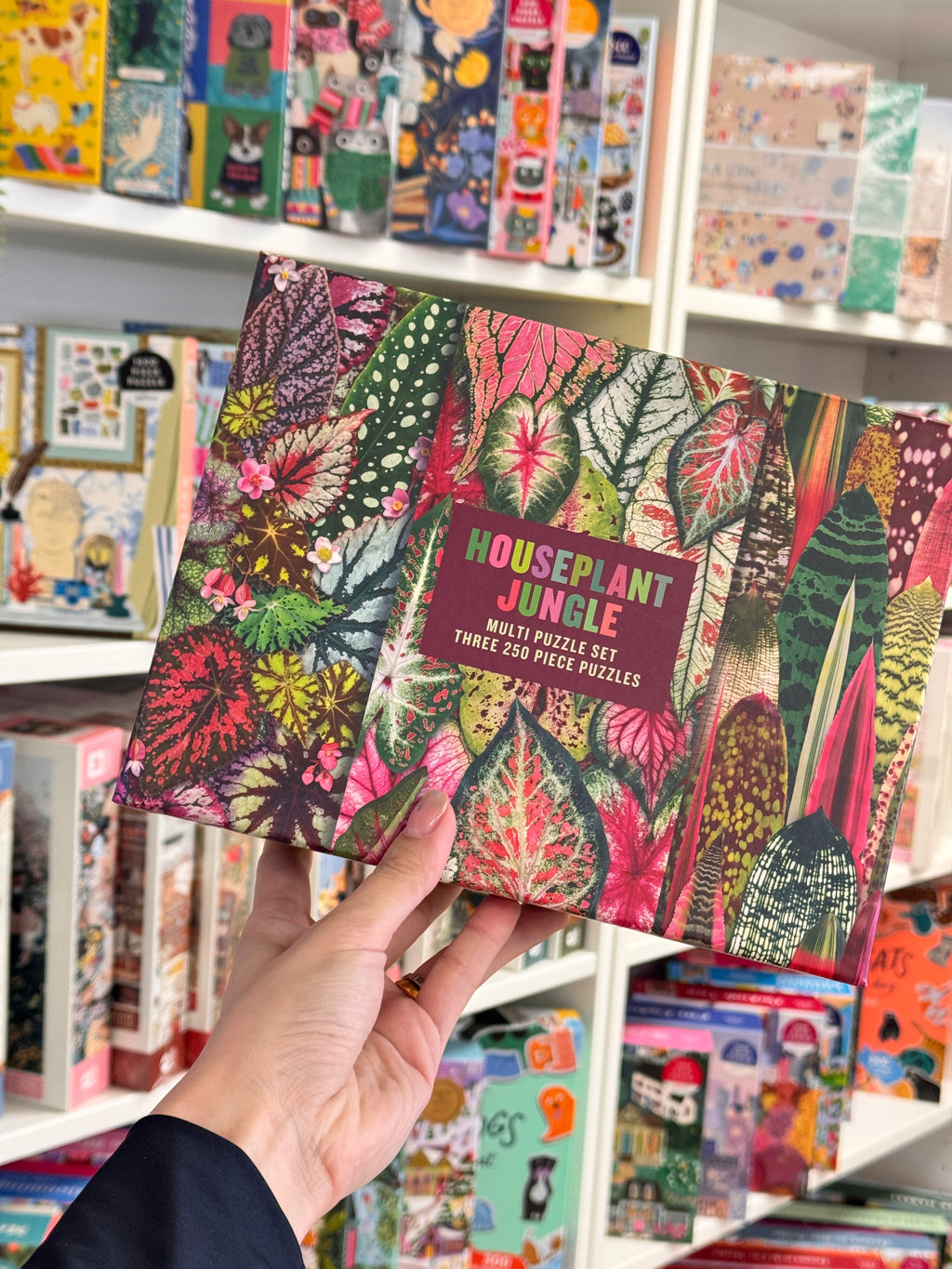 Galison | 3x 250 Pieces | HousePlant Jungle (multi set)